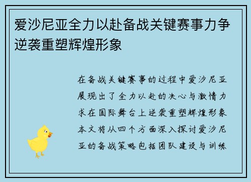 爱沙尼亚全力以赴备战关键赛事力争逆袭重塑辉煌形象