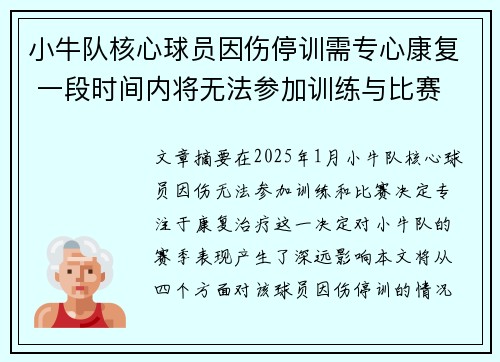 小牛队核心球员因伤停训需专心康复 一段时间内将无法参加训练与比赛